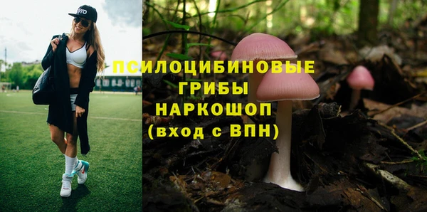 каннабис Богородицк