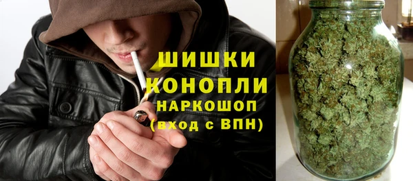 стафф Богородск