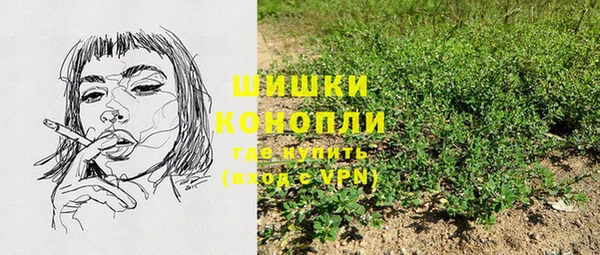 стафф Богородск