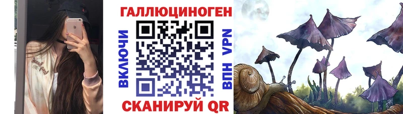 Псилоцибиновые грибы Psilocybe Шебекино