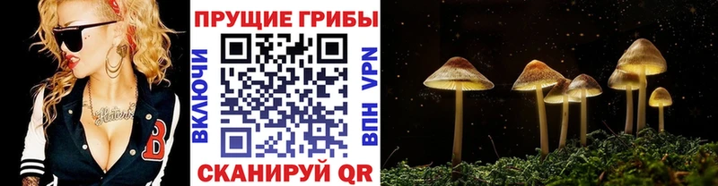 Галлюциногенные грибы Magic Shrooms  Шебекино 