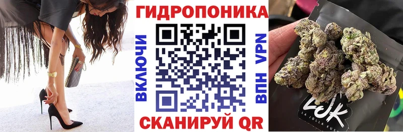 Каннабис план  Шебекино 